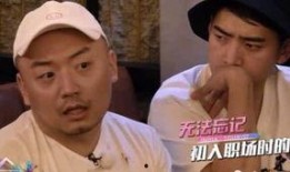 娱乐圈虐文大爆料,揭秘那些不为人知的虐心真相